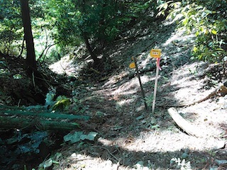 c0359615_08052858.jpg
