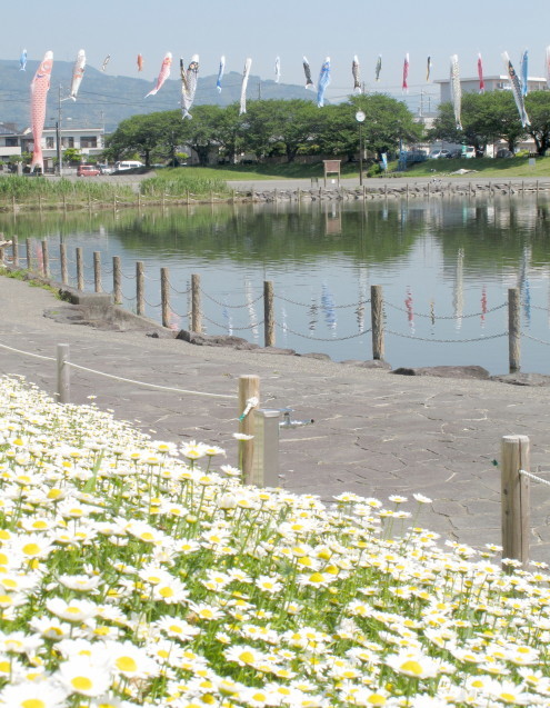 a0087818_12590398.jpg