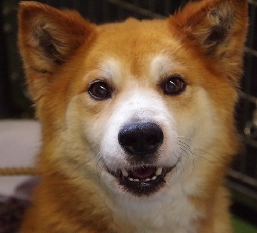 f0078320_00210156.jpg
