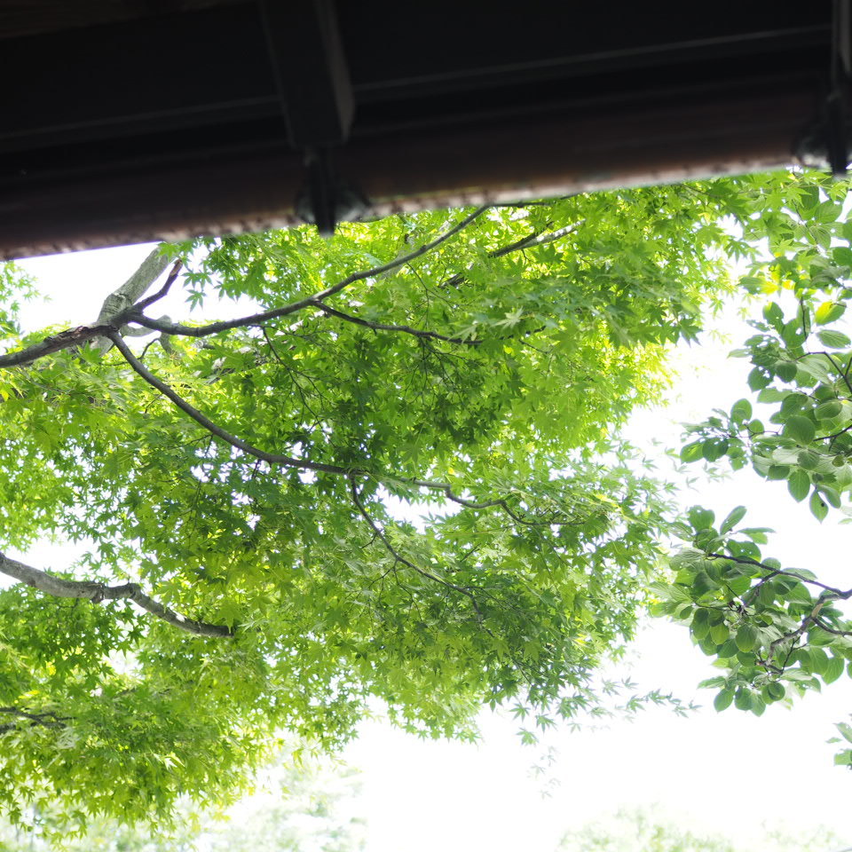 ある日の休日_b0206421_17303638.jpg