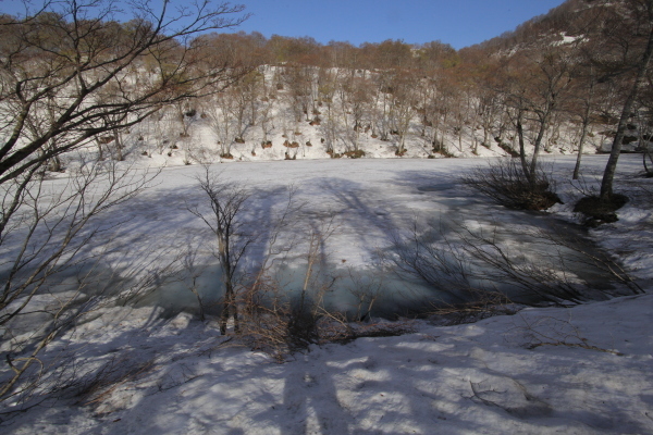 e0242721_09470637.jpg