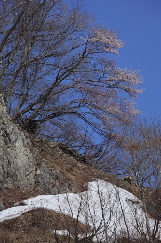 e0242721_09493384.jpg