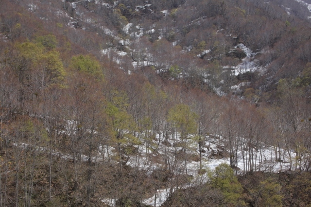 e0242721_09495871.jpg