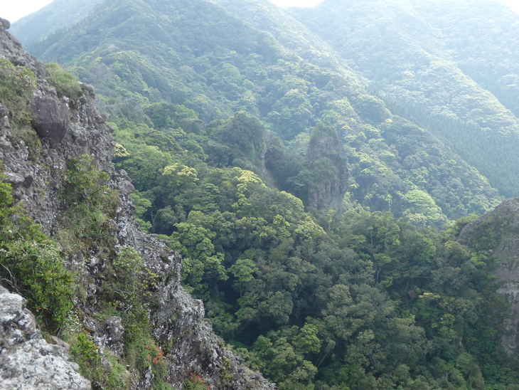 f0193521_1423079.jpg