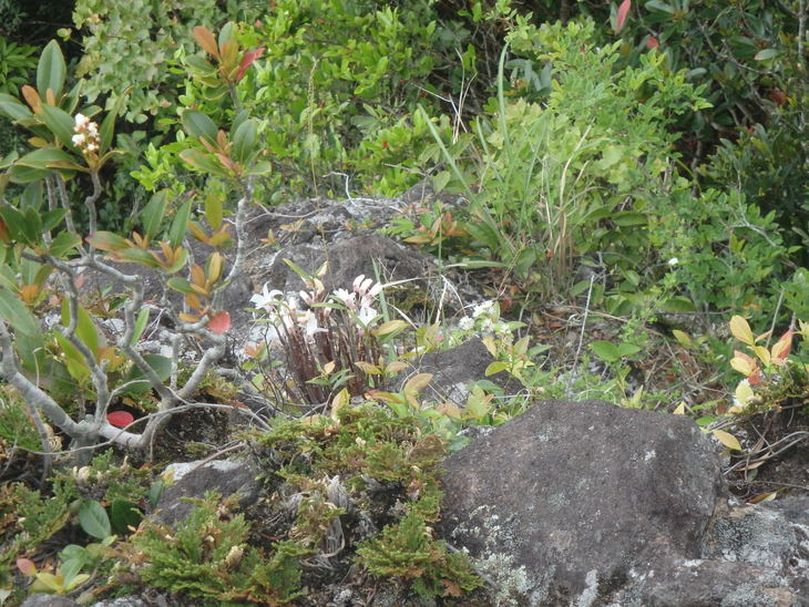 f0193521_146613.jpg