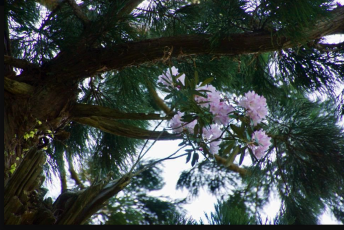 b0309623_11195095.png