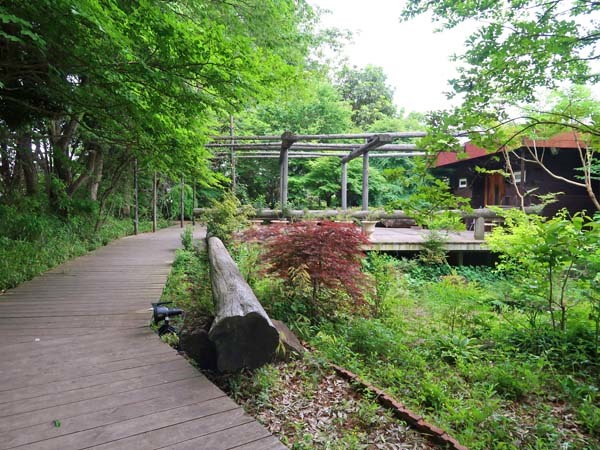 f0147025_20112445.jpg
