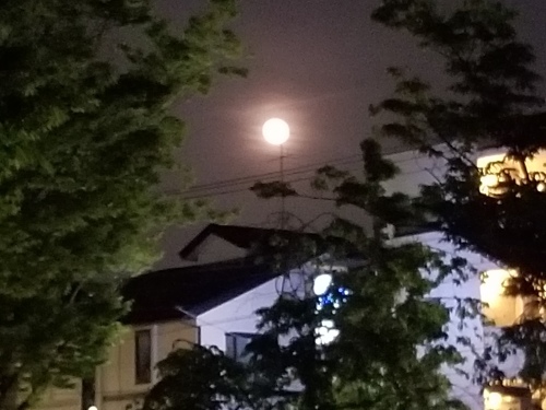 e0016828_10093457.jpg