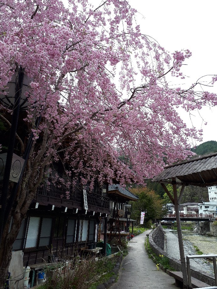 【湯西川温泉de湯豆腐】_c0226331_16304308.jpg