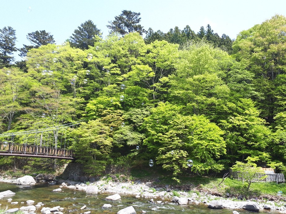 c0226331_16341991.jpg