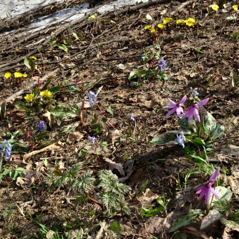 a0329935_09453036.jpeg