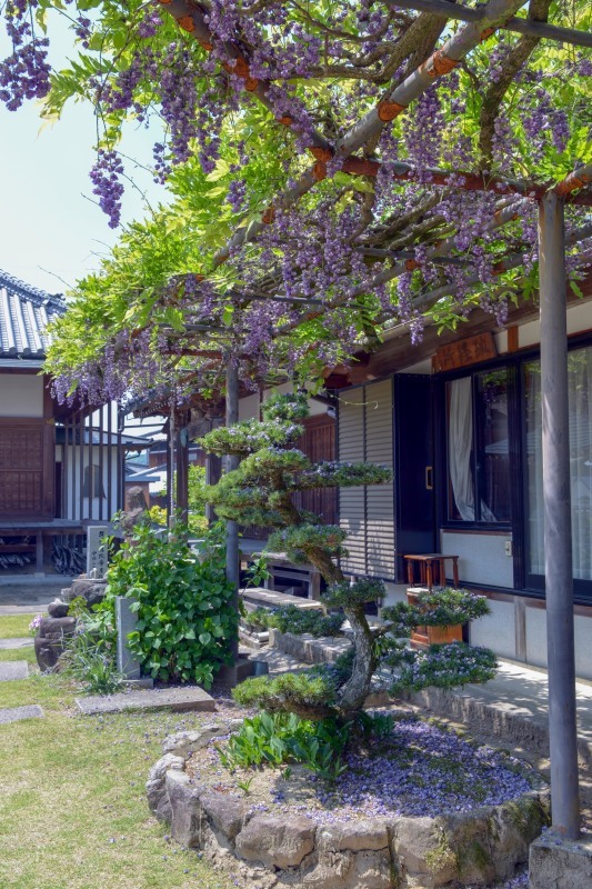 d0246136_17381390.jpg