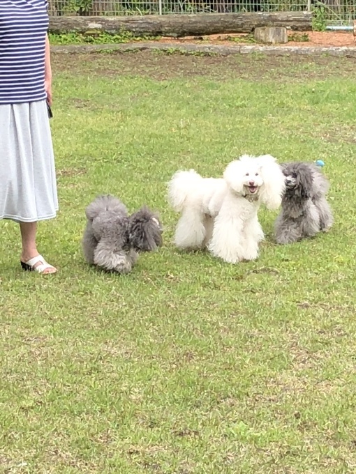 b0369239_14303255.jpeg