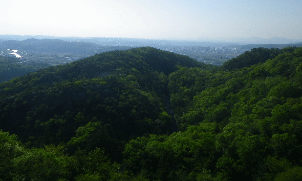 e0371039_17134653.gif