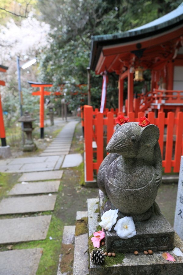 大豊神社の枝垂れ桜_b0325840_21435455.jpg