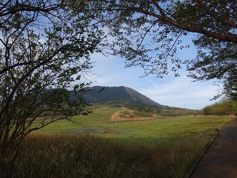 b0282042_10035685.jpg