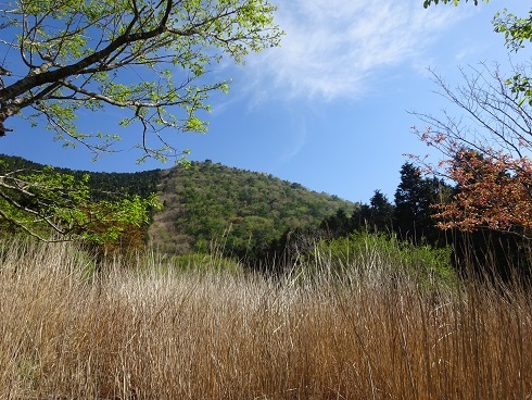 b0282042_11063354.jpg
