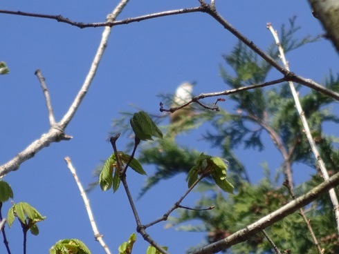 b0282042_11151490.jpg