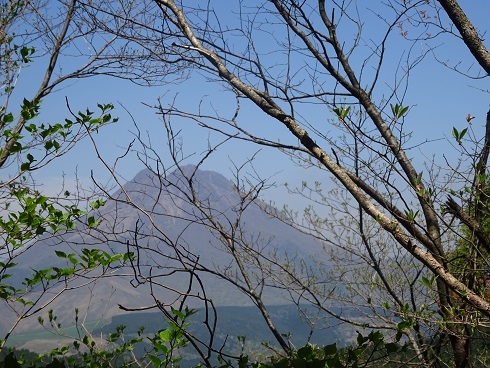 b0282042_12012388.jpg