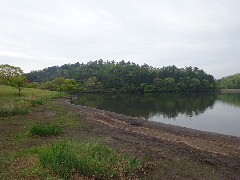 b0282042_13115521.jpg