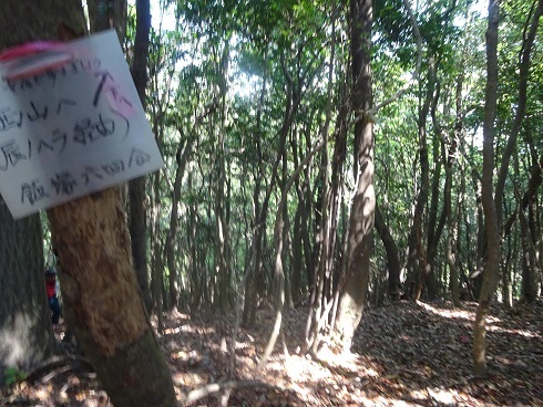 b0282042_16042340.jpg