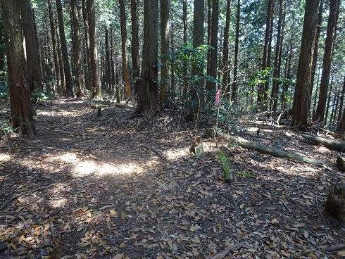 b0282042_17025418.jpg