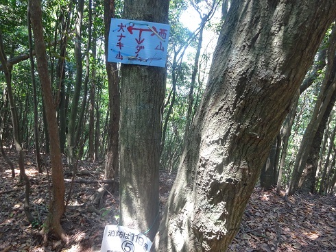 b0282042_17070850.jpg
