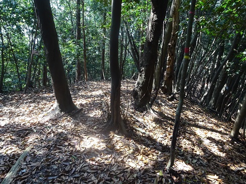 b0282042_17275460.jpg