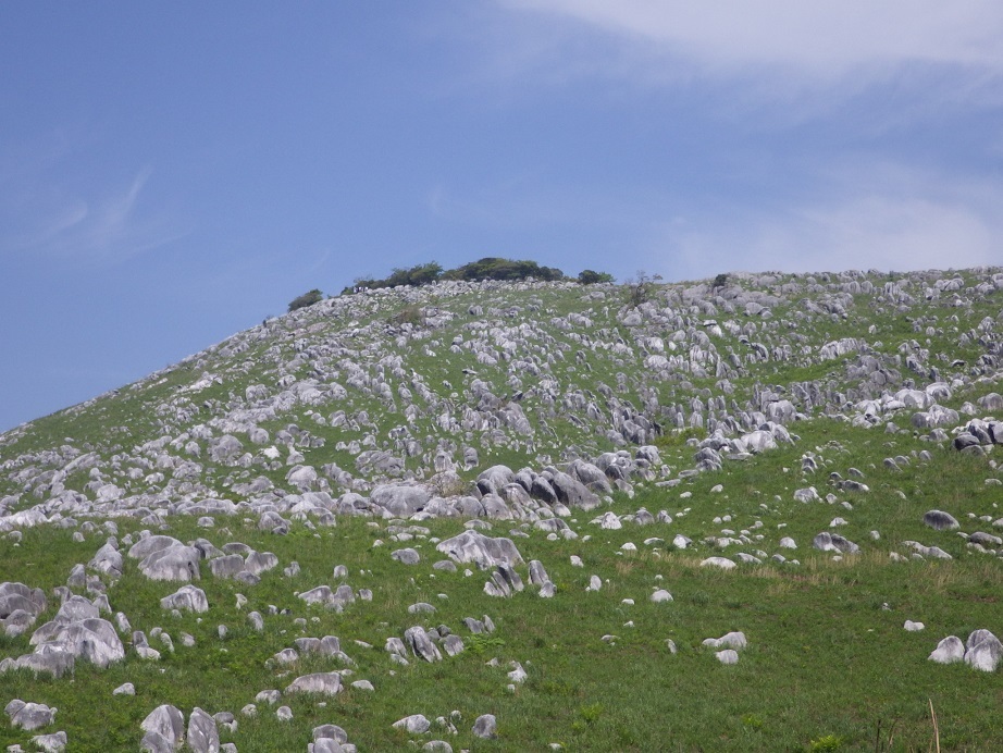 e0164643_08545628.jpg