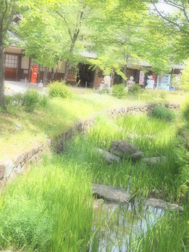 e0201648_07295765.jpg