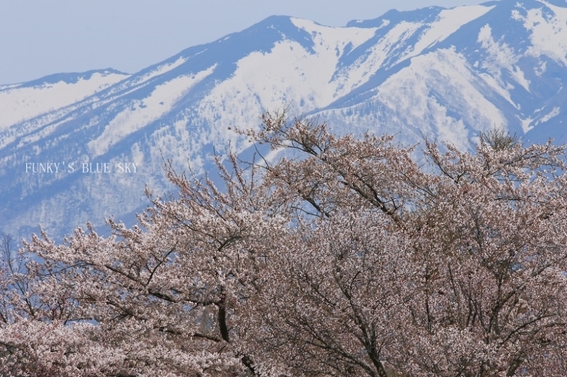 c0145250_11082448.jpg