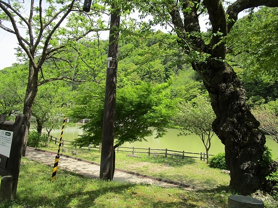 c0327752_10042918.jpg