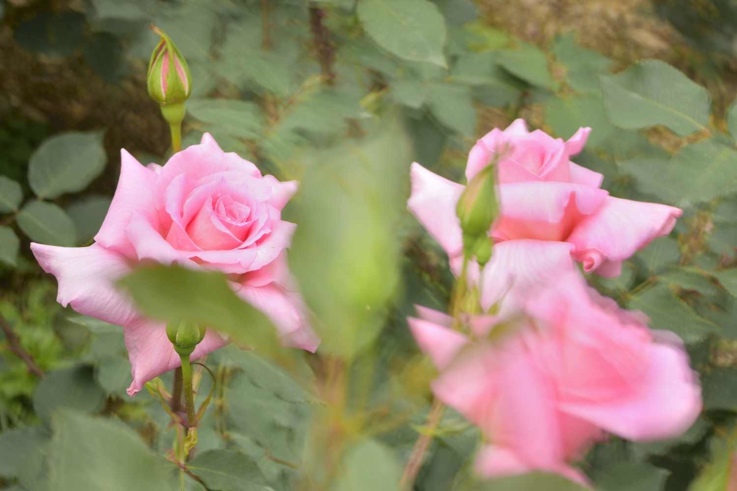 d0286954_05193335.jpg