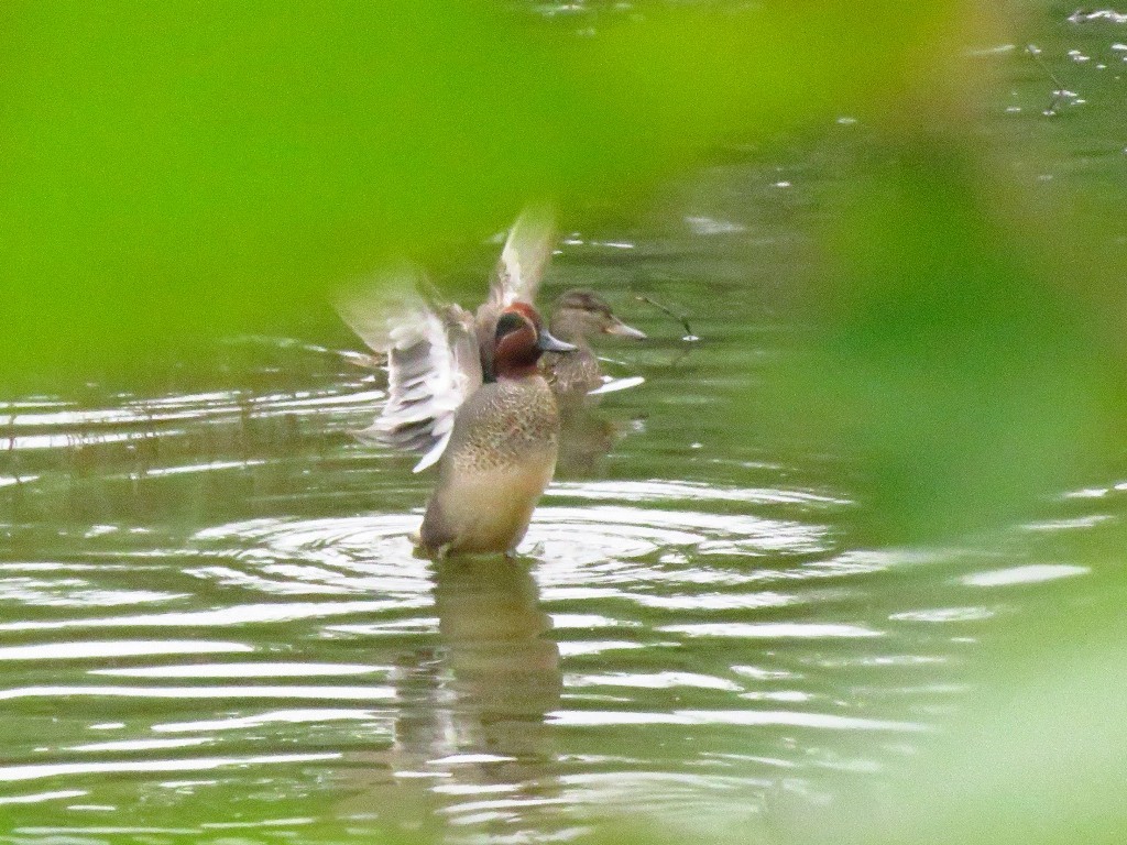 a0018655_14075532.jpg