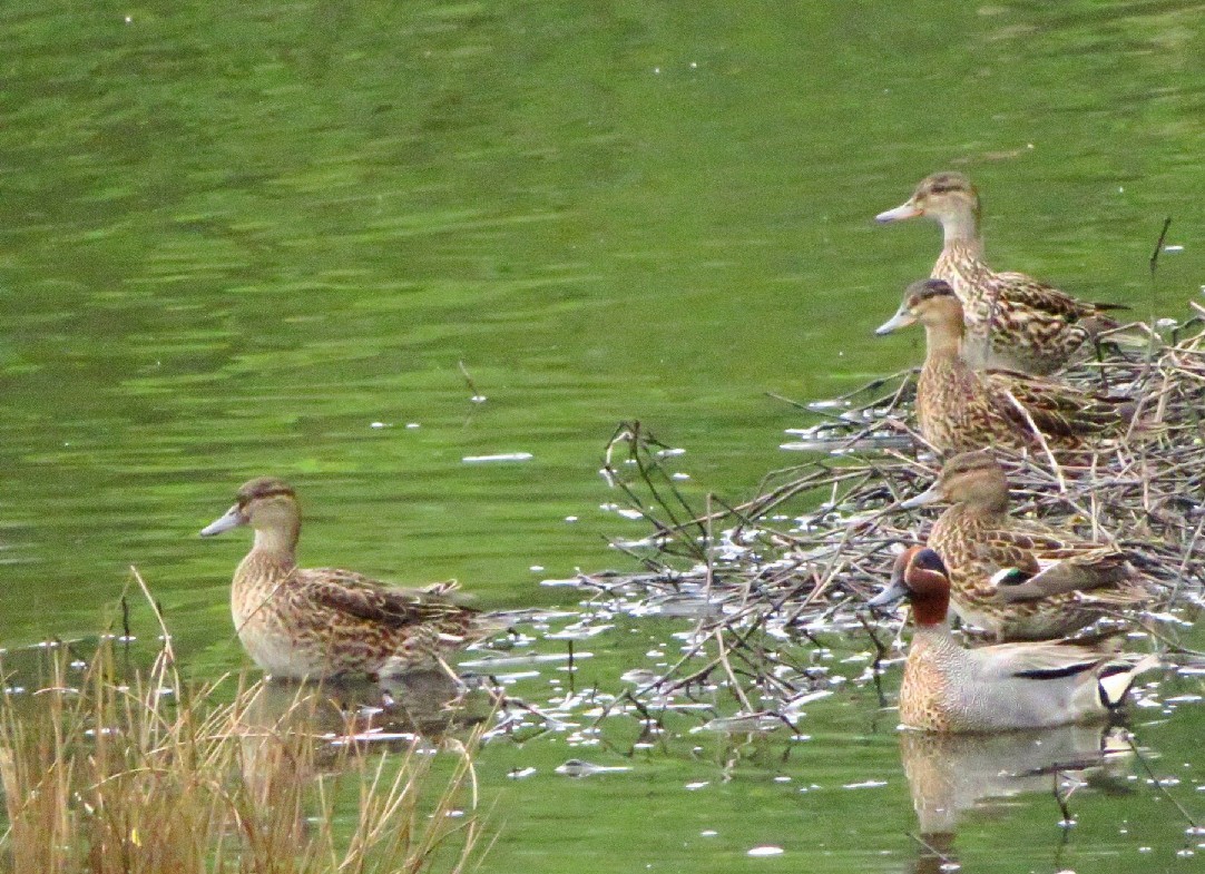 a0018655_14075642.jpg