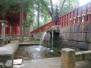a0057057_14034973.png