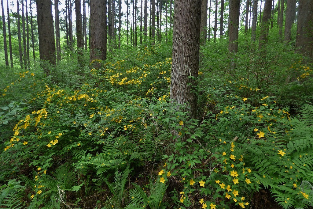 c0294658_20564450.jpg