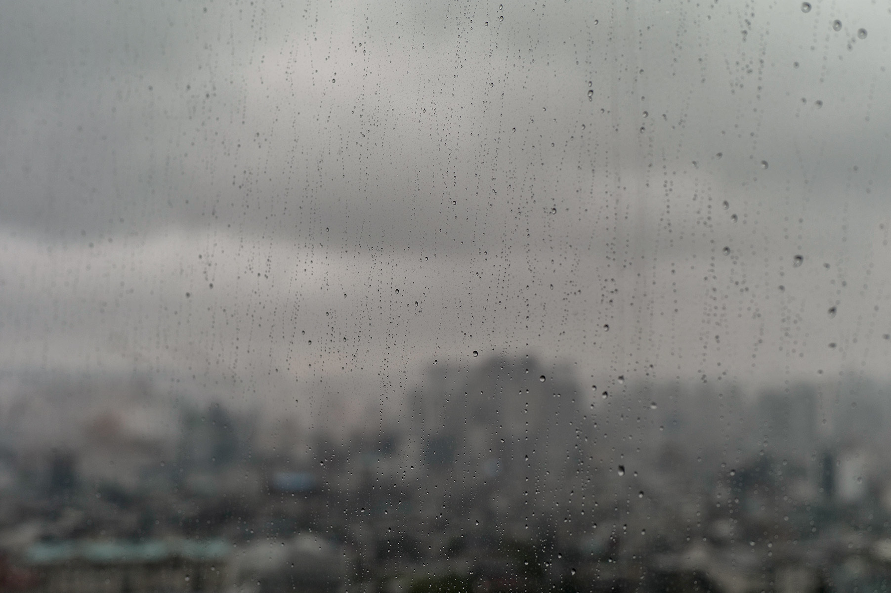 c0028861_16352044.jpg