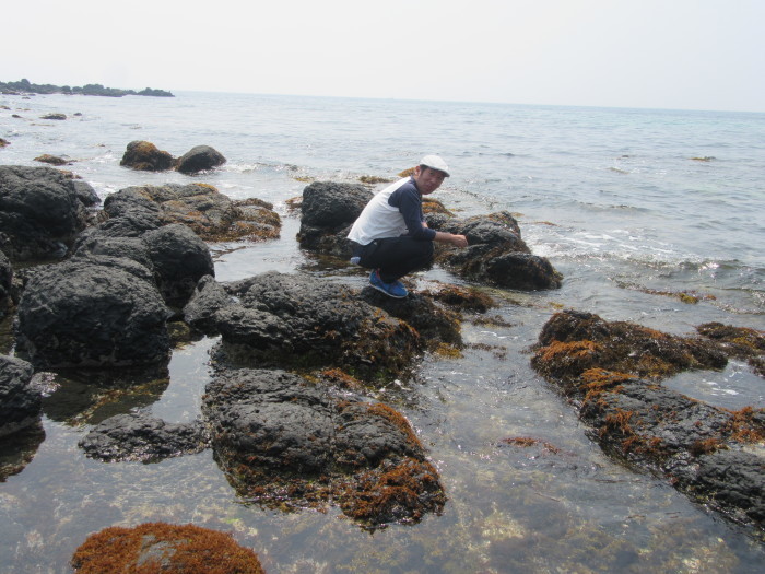 f0113862_17411533.jpg