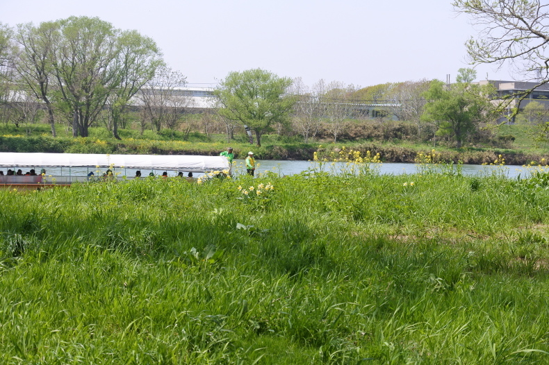 b0116765_15292549.jpg