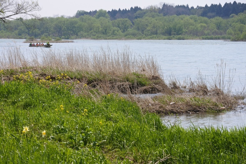 b0116765_15431059.jpg