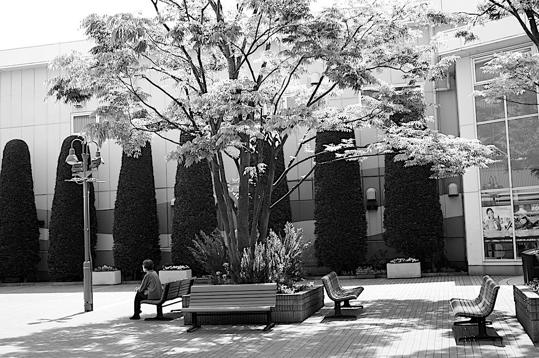 d0175768_09264539.jpg