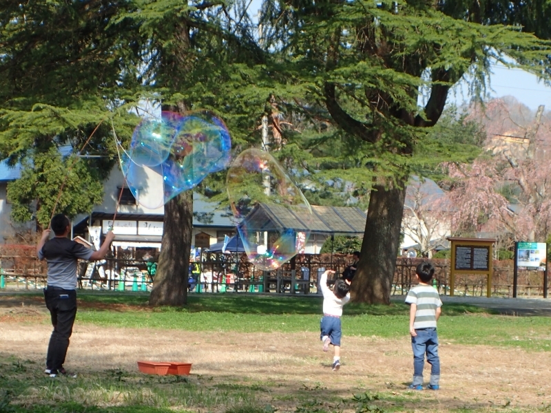 f0350468_20523526.jpg