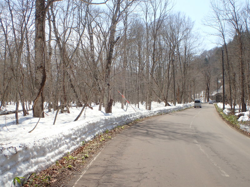 f0350468_21142537.jpg