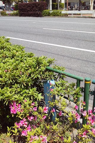 a0121671_21404486.jpg