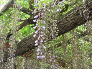 b0149071_13002230.gif