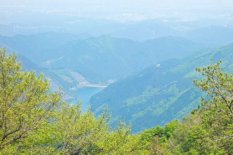 ガッツリ裏有間・峠から名栗湖へ 2018年4月29日_d0123571_21573184.jpg