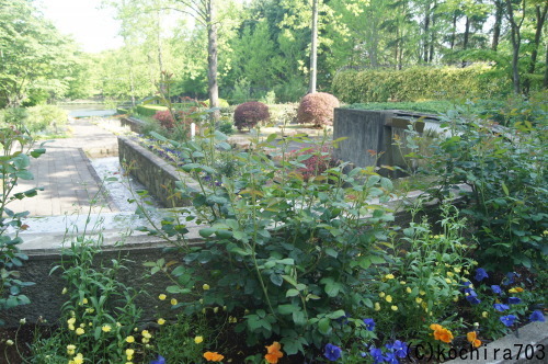 e0181373_20422706.jpg
