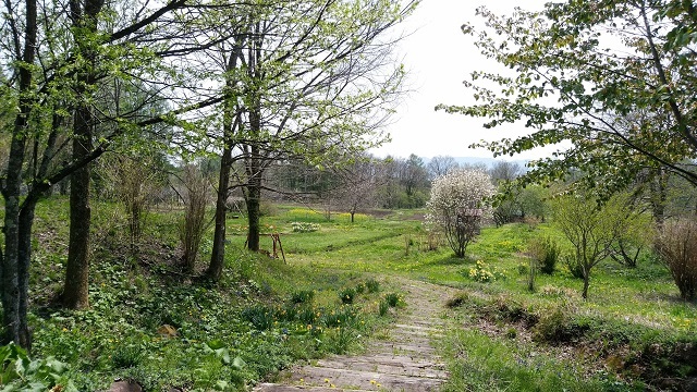 f0026274_17204842.jpg