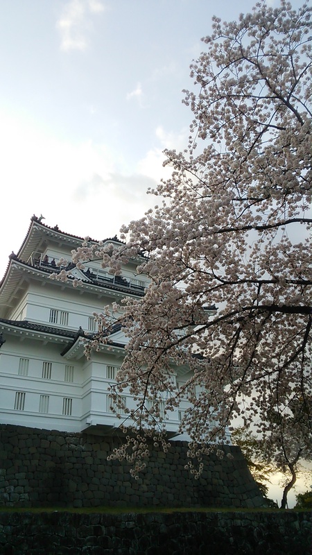 c0057776_1950712.jpg
